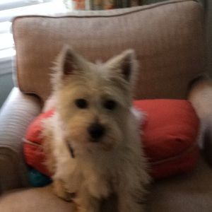 Meet your Posher, Mary